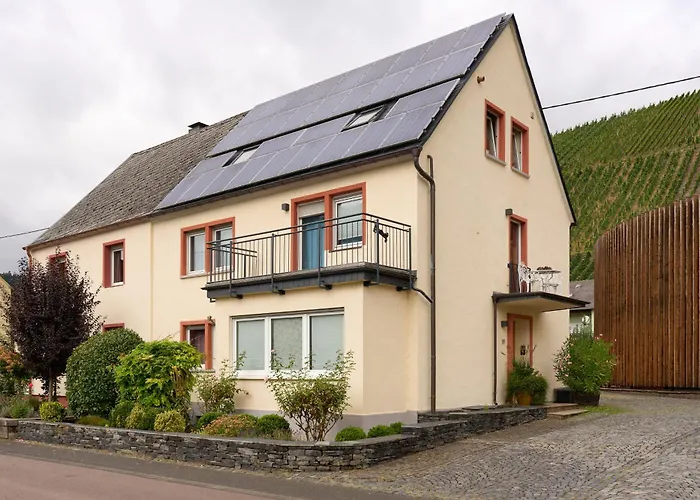 Weingut Und Vinothek Regnery Lägenhet Klusserath